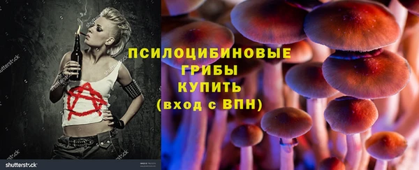 прущие крисы Михайловка