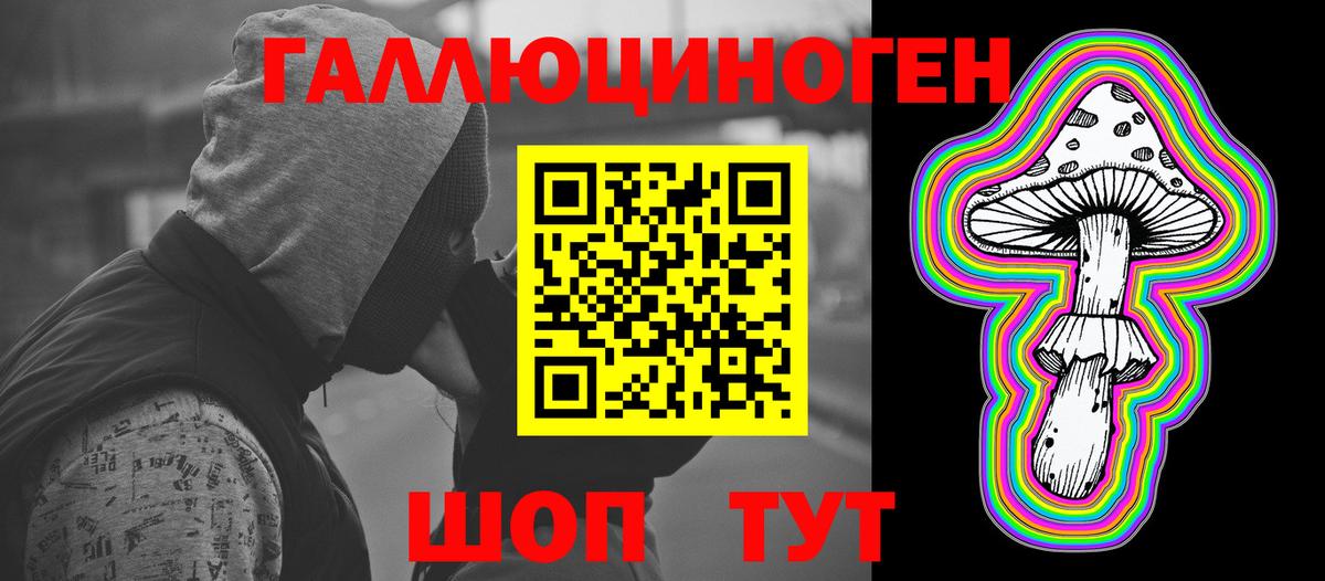 Старая Купавна  Псилоцибиновые грибы MAGIC MUSHROOMS  Вход с VPN 
