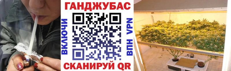 Шишки марихуана Amnesia  kraken как войти  Старая Купавна  продажа наркотиков 
